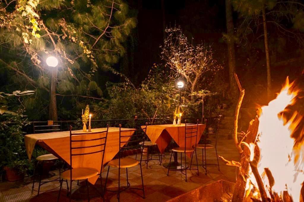 Nature View Resort !! A Four Star Lavish & Luxury Resort Чейл Экстерьер фото